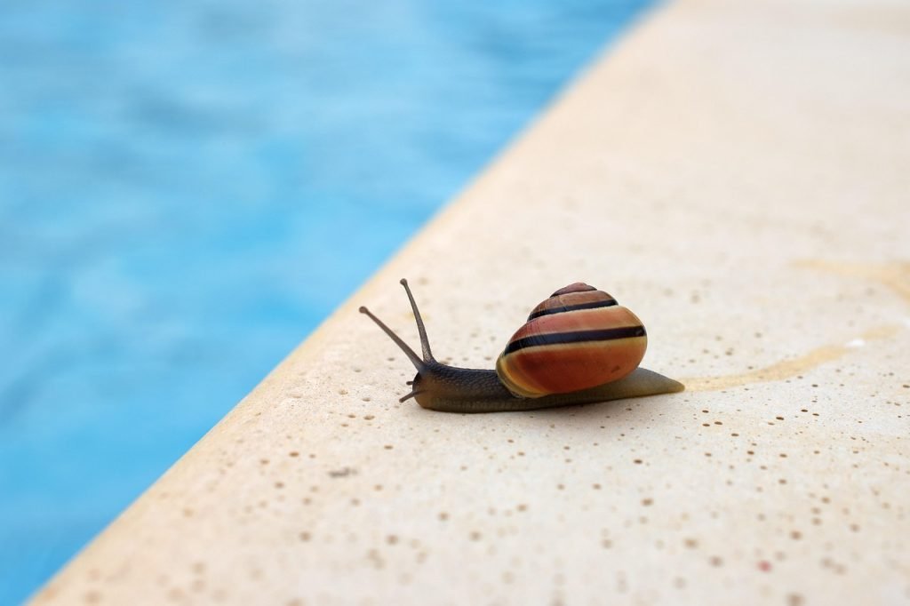 Pool Safety Inspections Edens Landing Pool Safety Inspections 4207